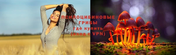 экстази Арсеньев