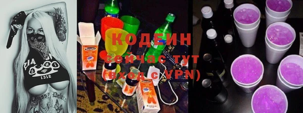 ГАЛЛЮЦИНОГЕННЫЕ ГРИБЫ Аркадак