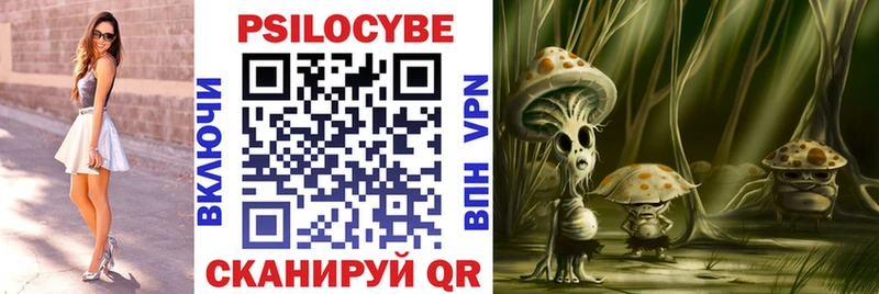 закладка  Верхотурье  Галлюциногенные грибы ЛСД 